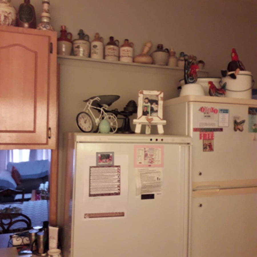 To Let 3 Bedroom Property for Rent in Fichardt Park Free State